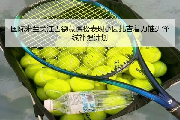 国际米兰关注古德蒙德松表现小因扎吉着力推进锋线补强计划